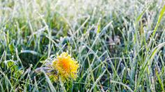 V Česku ráno udeřily mrazy, teploty klesly až k -10 °C! Mrzlo i v nížinách