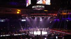 UFC dostává silnějšího konkurenta. PFL se spojuje s Bellatorem
