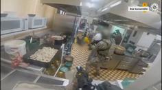 Rodinný gang si pěstováním marihuany vydělal miliony. Hrozí jim až 12 let vězení