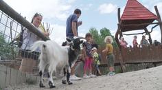 Návštěvníci zoo jsou neohleduplní. V Hluboké nad Vltavou zaplatila zvířata životem