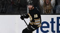 Zacha opět skóroval, ale Boston padl. Trefil se i Zadina