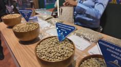 Dubaj přivítala festival kávy. Sjeli se nadšenci ze 130 zemí