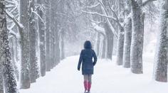 Do Česka dorazí sníh, na horách napadne až 15 cm. MAPY SRÁŽEK