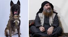 Trump vzdal hold psímu hrdinovi. Zranil se při dopadení vůdce ISIS