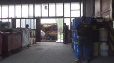 Tuny fetu, početná eskorta. Podívejte se, jak policie ničí drogy!