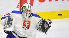 Jágrovo Kladno posiluje! Do branky postaví slovenského reprezentanta