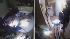 Skupinku zlodějů aut se podařilo chytit, měl mezi nimi být i policista