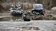 USA: Tornáda, záplavy, požáry, teď i zemětřesení. Bouře se přesouvají