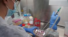 Exotické zvíře je novou nadějí pro lidstvo. Může vyřešit problém s antibiotiky