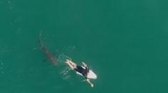 Surfař v Austrálii unikl smrti jen o vlásek. Zachránil ho dron! VIDEO