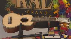 Ukulele znělo Úněticemi. Festival přilákal návštěvníky z celého světa