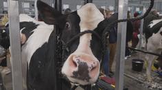 Zemědělci bijí na poplach kvůli cenám. Požadují mimořádné jednání vlády
