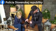 Psy po útoku zastřelili, fenka utekla. Našli ji pokousanou, už je doma