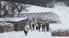 Další vybíjení ptáků: Ptačí chřipka je na jihu a severu Čech