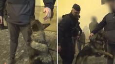 Cizinec se snažil schovat extázi v okapu, policisty ale neoblafnul