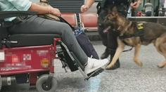 Muž pašoval drogy v invalidním vozíku. Policejní pes ho postavil na nohy