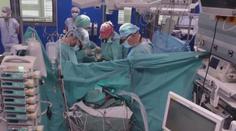 Lékaři v IKEM slaví výročí. Už 40 let transplantují slinivku břišní