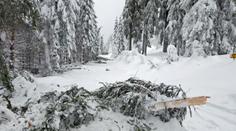 Na horách jde o život! Vstup do některých lesů už úplně zakázali