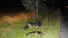 Řidič seatu přehlédl při odbočení motorkáře. Ten je po smrti