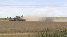 Evropská unie hledá způsob, jak z Ukrajiny bezpečně dostat obilí a potraviny