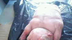 Je to ovce, nebo člověk?! Vesničany vyděsil jehněčí mutant