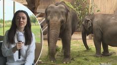 Zoo Ostrava: Exotika i domácí zvířata, maminky si pochvalují vstřícnost