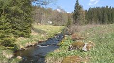 Národní park Šumava obnoví až dva tisíce hektarů mokřadů a rašelinišť