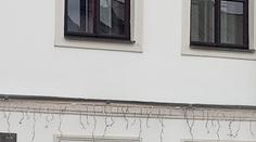 Policie odložila výbuch na radnici. Nikdo za něj pykat nebude