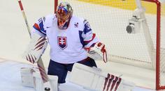 Veterán Halák dostane šanci v Carolině. Andersen má zdravotní problémy