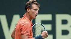 Berdychovi se před Wimbledonem daří, v Halle je ve čtvrtfinále