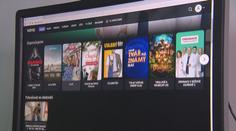 Policisty ročně zaměstnají stovky internetových pirátů. Napadli i Voyo