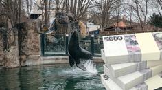 Pražské zoo odkázala miliony i nemovitosti. Kdo byla tajemná dárkyně?