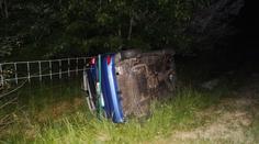 Kvůli dvěma psům se na dálnici zranil motorkář a převrátilo auto