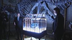 Vědci vytvořili unikátní kabelku. Je potažená kůží tyranosaura