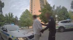 Strážníci chytili skupinku s košem plným piv. Mezi zadrženými byl hledaný muž