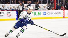 Některé kluby NHL ztrácí svou farmu! AHL začne v únoru bez tří týmů