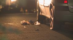 V Dolní Lutyni na Karvinsku se střílelo! Policisté zadrželi dva lidi