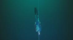 Freediver pokořil na Bahamách posedmé rekord. Potopil se do hloubky 120 metrů