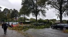 Větrná bouře Carmen ve Francii zabíjela, žene se na Německo!