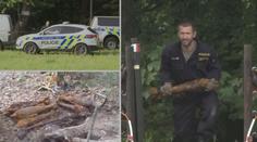 NEBEZPEČNÝ NÁLEZ: V lese našli velké množství munice! VIDEO