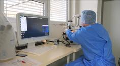 Vědci z Brna učinili průlom v medicíně. Mrtvice se může léčit efektivněji