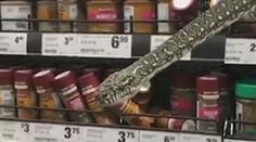 Šok v supermarketu! Z regálu s potravinami vykoukl na ženu had