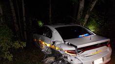 Řidič v tesle měl puštěný film a autopilota, smetl policejní vůz! FOTO