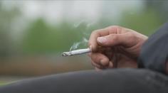 V Česku roste počet padělaných cigaret. Falešná je každá patnáctá