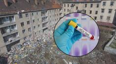 Ústí bojuje s epidemií žloutenky! Mezi odpadky a výkaly si hrají děti