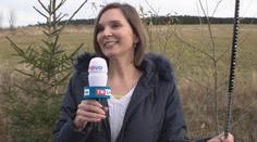 Na Božím Daru nebyl žádný sníh. ZNÁME VÍTĚZE soutěže o zimní pneumatiky