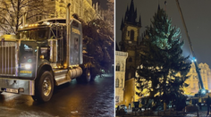 Na Staroměstském náměstí se už tyčí vánoční strom. Převoz provázely komplikace