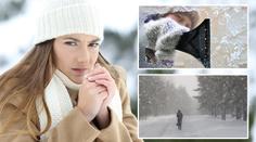 Do Česka se vrátí arktické mrazy, příští týden bude opět chumelit
