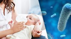 Salmonela ve zlínské nemocnici: Hygienici ví, kolik lidí se nakazilo!