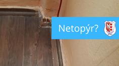 Mám doma netopýra, volal muž strážníkům. Ty nález dost překvapil
